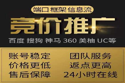 揭秘SEM竞价成功案例，助你提升ROI