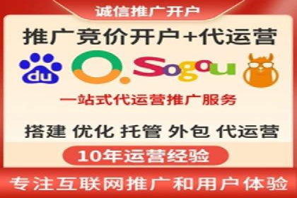 百度竞价代理的客户案例：如何实现ROI最大化